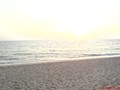 DSC01184