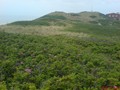 DSC01281